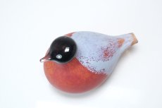 画像3: 北欧アートガラス/Nuutajarvi/ヌータヤルヴィ/iittala/イッタラバード/Oiva Toikka/オイバトイッカ/Small Bullfinch (3)