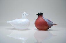 画像8: 北欧アートガラス/Nuutajarvi/ヌータヤルヴィ/iittala/イッタラバード/Oiva Toikka/オイバトイッカ/Small Bullfinch (8)