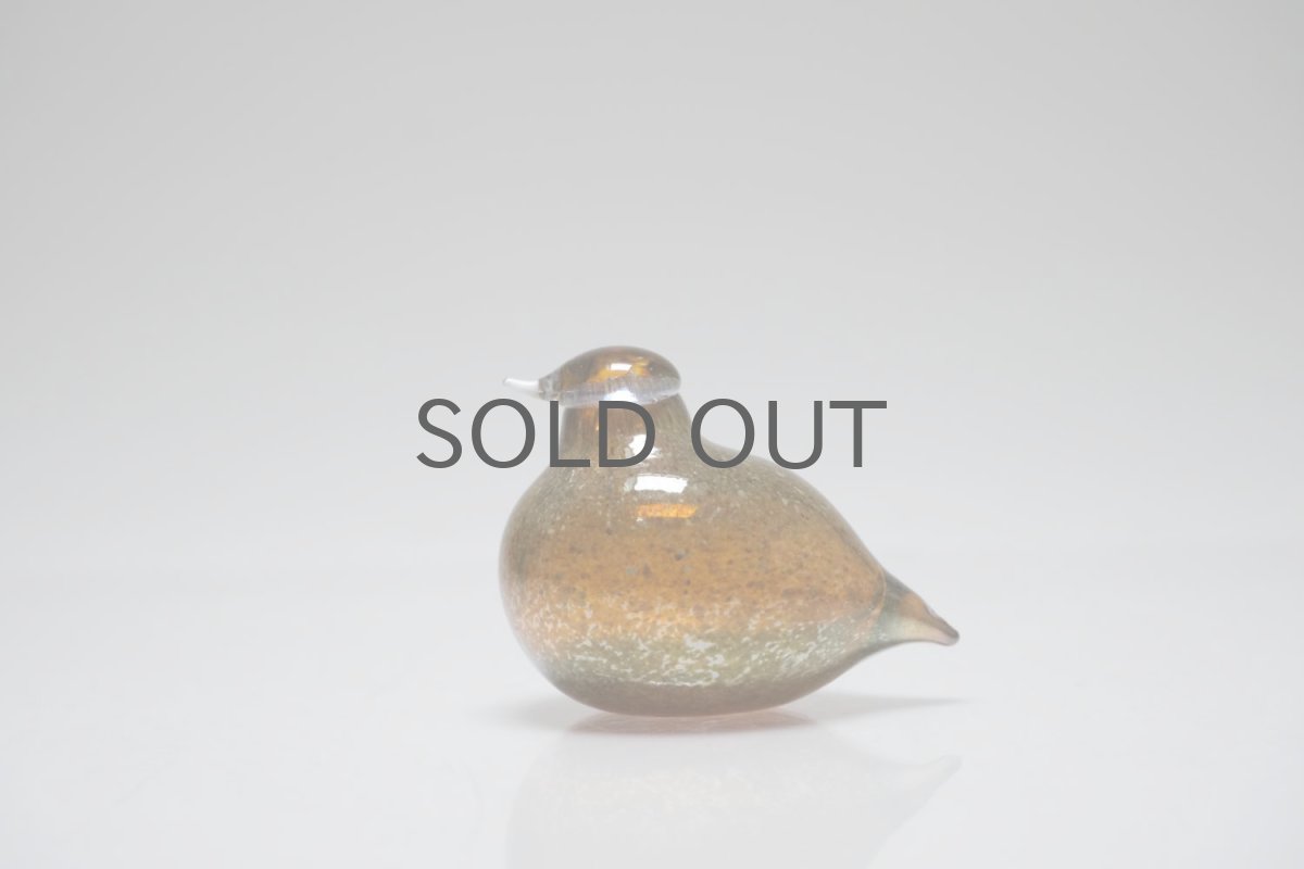 画像1: 北欧アートガラス/iittala/イッタラバード/Oiva Toikka/オイバトイッカ/Golden-Crested Kinglet/半透明ラスタ/No.1 (1)