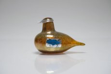 画像1: 北欧アートガラス/iittala/イッタラバード/Oiva Toikka/オイバトイッカ/Golden-Crested Kinglet/半透明ラスタ/No.3 (1)