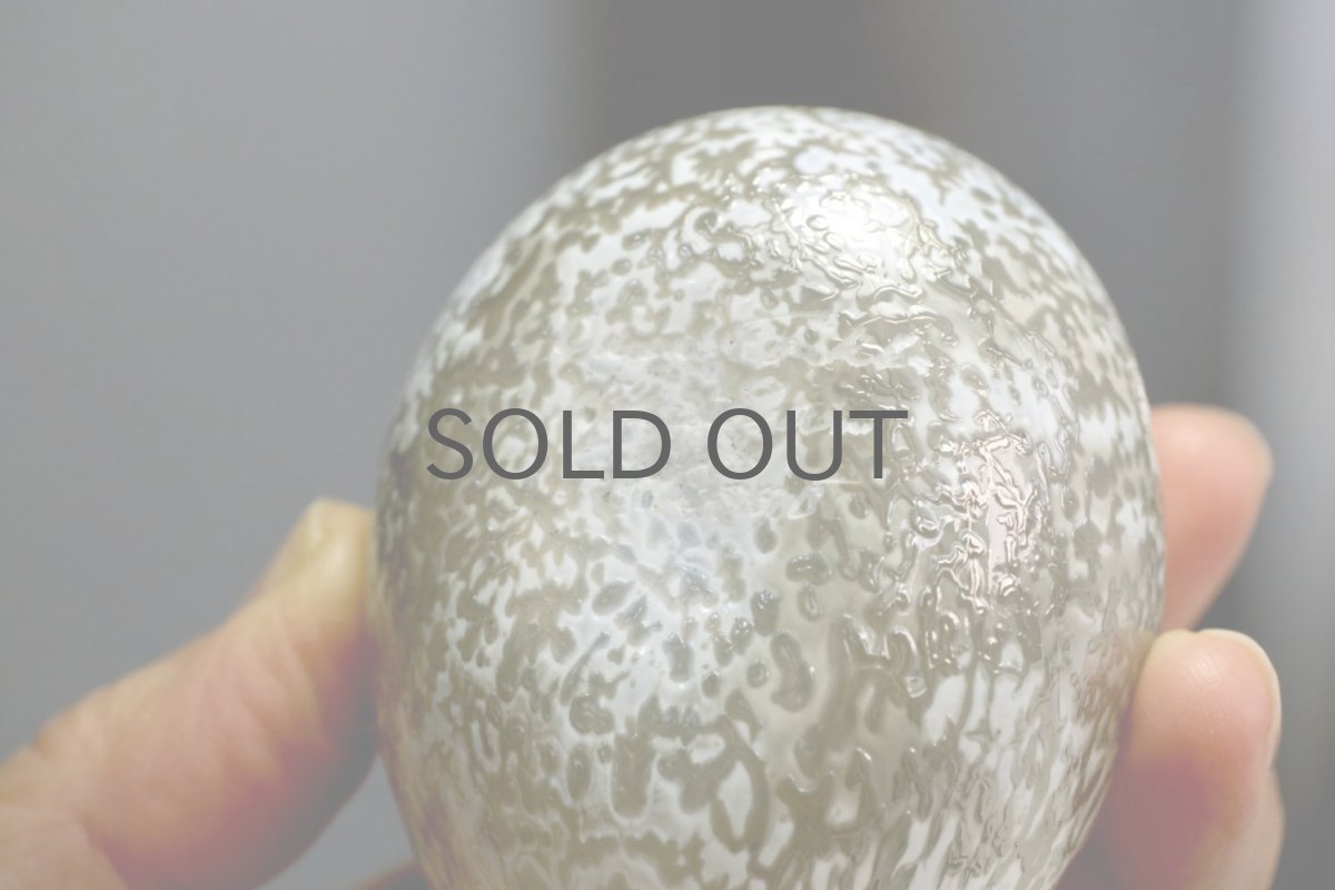 画像8: 北欧アートガラス/iittala/イッタラバード/Oiva Toikka/オイバトイッカ/ホワイト&シルバーバード/Small (8)