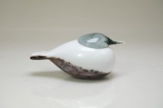 画像3: 北欧アートガラス/iittala/イッタラバード/Oiva Toikka/オイバトイッカ/Small Smew/No.1 (3)