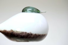 画像4: 北欧アートガラス/iittala/イッタラバード/Oiva Toikka/オイバトイッカ/Small Smew/No.2 (4)