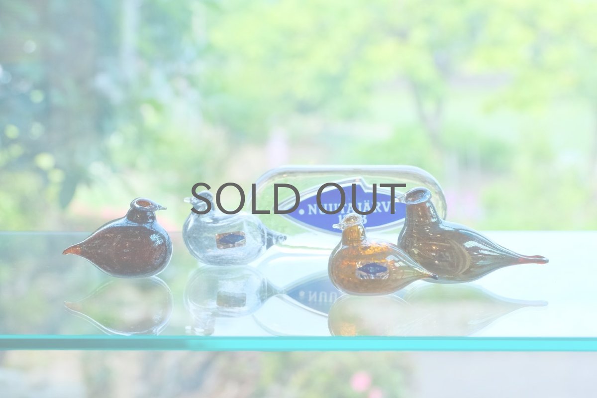 画像9: 北欧アートガラス/iittala/イッタラバード/Oiva Toikka/オイバトイッカ/little turn/リトルターン/ラスタ (9)