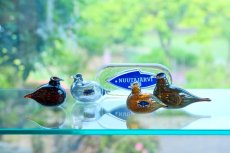 画像9: 北欧アートガラス/iittala/イッタラバード/Oiva Toikka/オイバトイッカ/Golden-Crested Kinglet/ダークボディ＆シルバーラスタ (9)