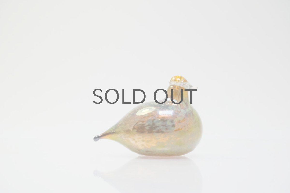 画像5: 北欧アートガラス/iittala/イッタラバード/Oiva Toikka/オイバトイッカ/Golden-Crested Kinglet/半透明ラスタ (5)