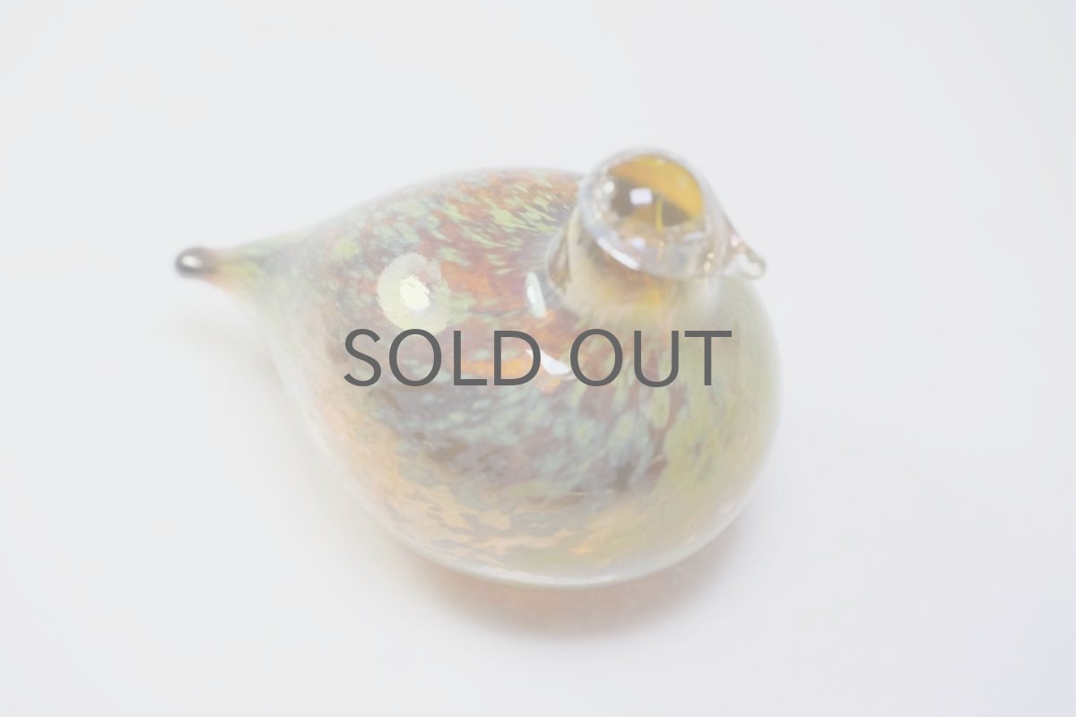 画像6: 北欧アートガラス/iittala/イッタラバード/Oiva Toikka/オイバトイッカ/Golden-Crested Kinglet/半透明ラスタ (6)