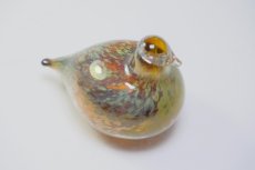 画像6: 北欧アートガラス/iittala/イッタラバード/Oiva Toikka/オイバトイッカ/Golden-Crested Kinglet/半透明ラスタ (6)