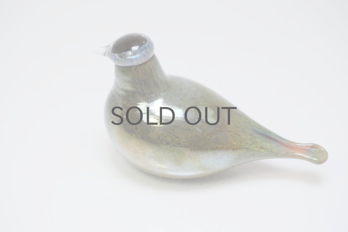 画像6: 北欧アートガラス/iittala/イッタラバード/Oiva Toikka/オイバトイッカ/little turn/リトルターン/ラスタ (6)