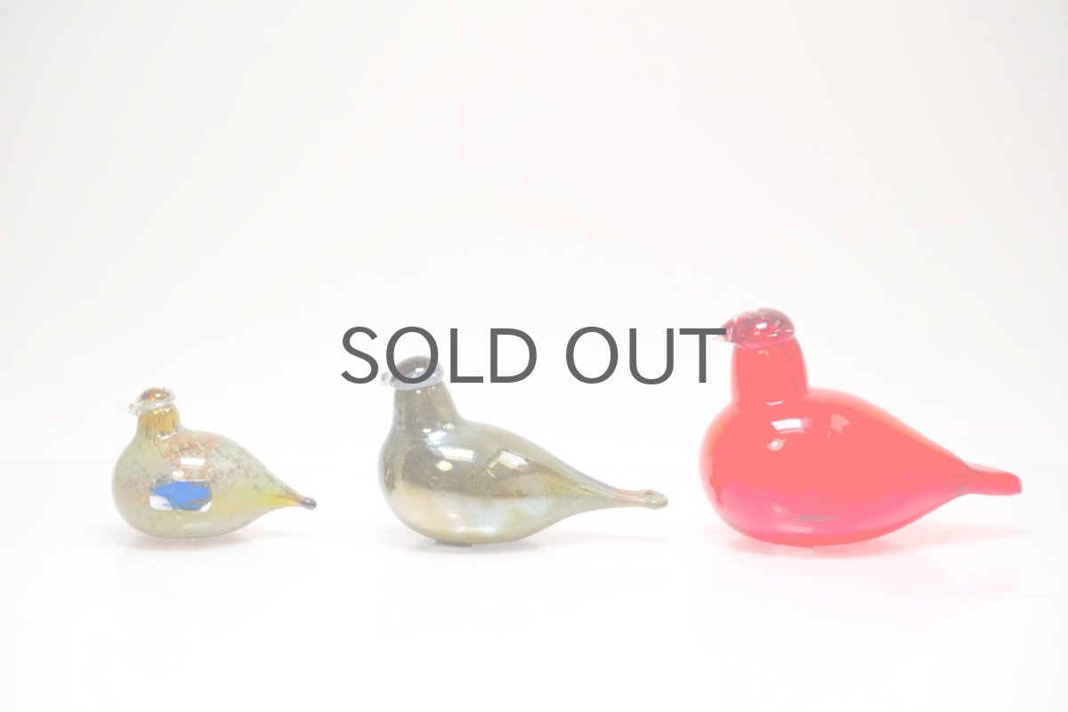 真ん中がご紹介のバード