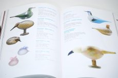 画像6: 北欧本/Oiva Toikka/オイバ・トイッカ/Birds/バード本/BIRDS BY TOIKKA - TOIKAN LINNUT (6)