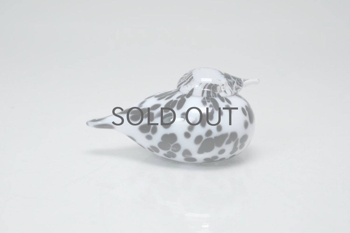 画像4: 北欧アートガラス/iittala/イッタラバード/Oiva Toikka/オイバトイッカ/Small GoldCrest/2004/スモールゴールドクレスト/ホワイト&ブラックラ斑点/No.3 (4)
