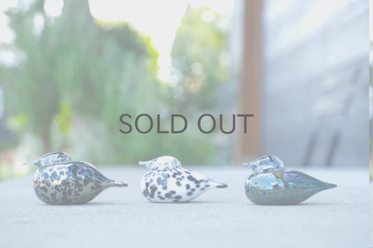 画像7: 北欧アートガラス/iittala/イッタラバード/Oiva Toikka/オイバトイッカ/Small GoldCrest/2004/スモールゴールドクレスト/ブラック&シルバーラスター斑点/No.2 (7)