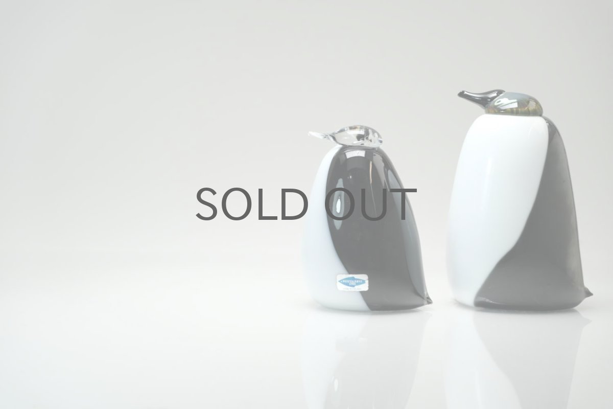 右の背の高いペンギンです