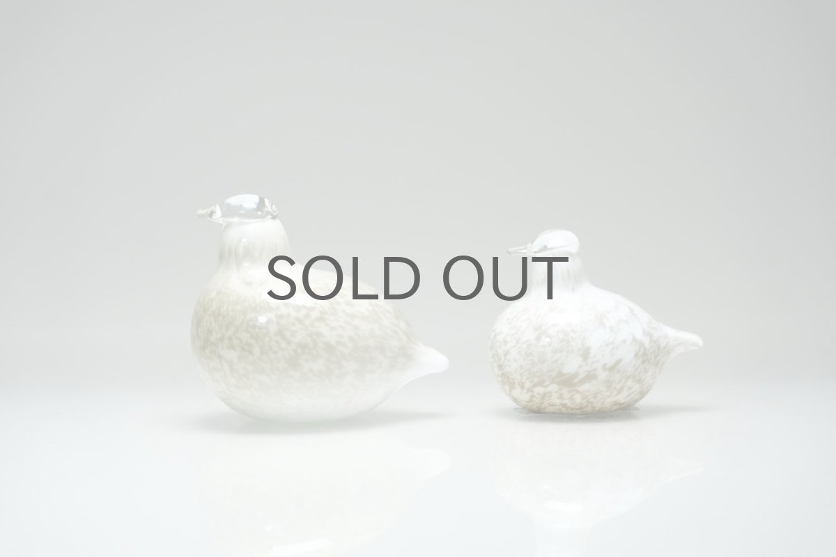 左の大きなほうのバードです