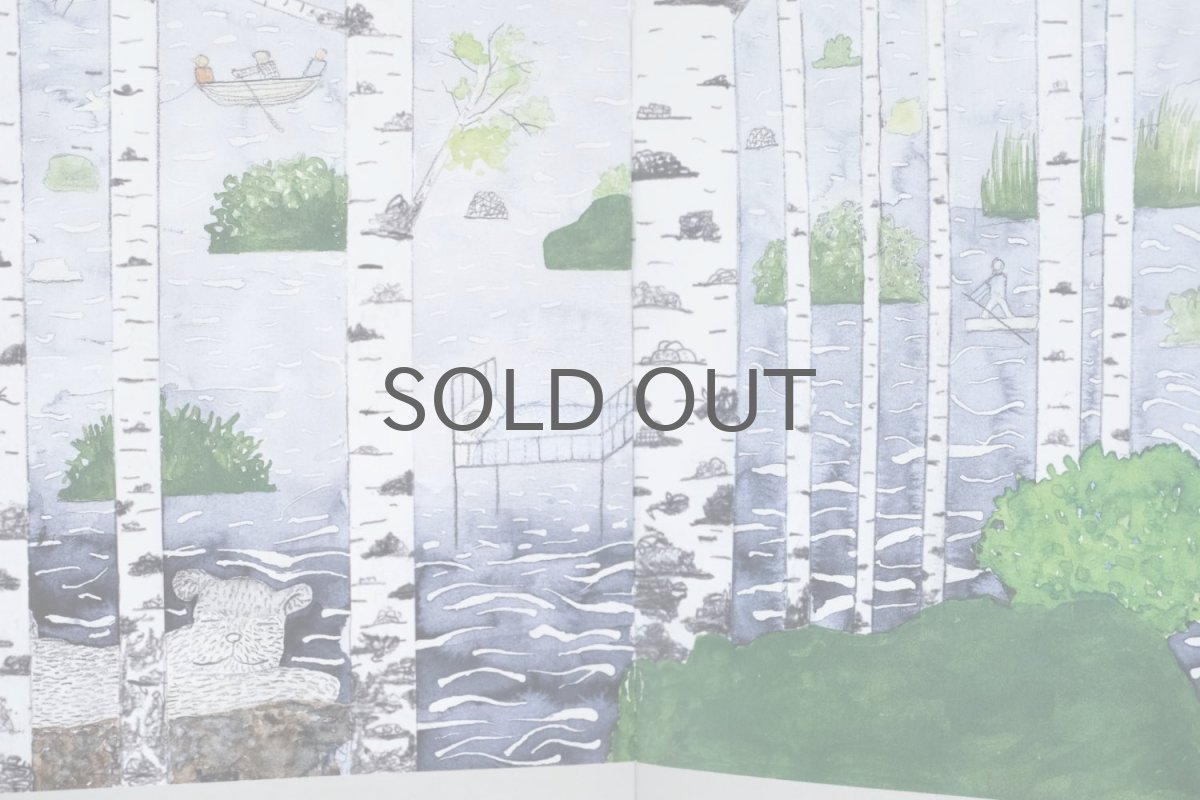 画像9: 北欧絵本/Oiva Toikka/オイバ・トイッカ/Aasinsilta ja niin edelleen.../ロバの橋それから/絵本/英語 (9)