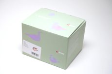 画像6: 北欧アートガラス/ビンテージガラス/Oiva Toikka/オイバトイッカ//iittala/イッタラ/Birds/バード/Baby Birad/サーモンピンク/2021 (6)
