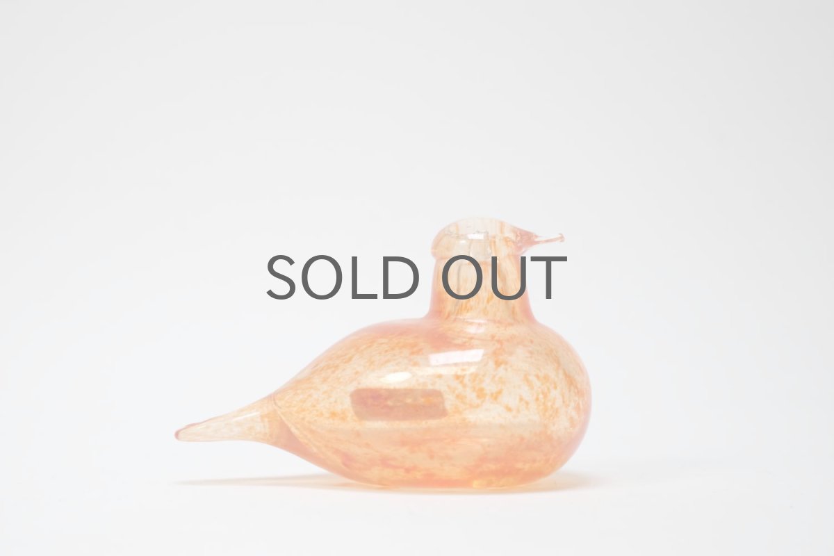 画像2: 北欧アートガラス/iittala/イッタラバード/Oiva Toikka/オイバトイッカ/Hippiainen/ヒッピアイネン/Golden-Crested Kinglet/オレンジ (2)