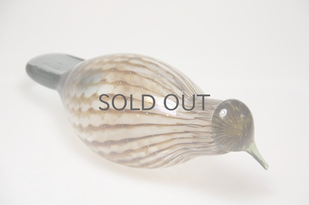 画像3: 北欧アートガラス/ビンテージガラス/Oiva Toikka/オイバ・トイッカ/iittala/イッタラ/Birds/バード/Eurasian Wryneck (3)