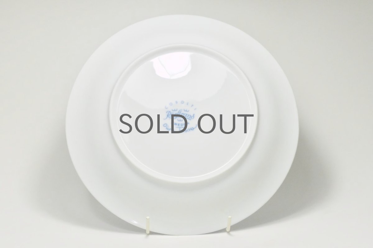 画像4: Rorstrand/ロールストランド/Oiva Toikka/オイバ・トイッカ/Cobolti/コボルティ/24cmプレート (4)