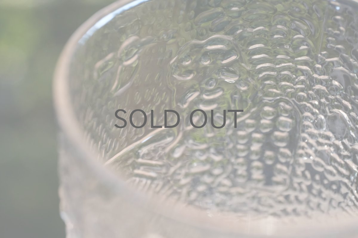 画像4: 北欧ビンテージガラス/Oiva Toikka/オイバ・トイッカ/ファウナ/NUUTAJARVI/ヌータヤルヴィ/クリア/ビアグラス (4)