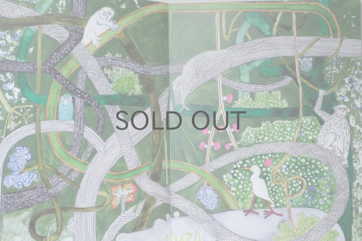 画像5: 北欧絵本/Oiva Toikka/オイバ・トイッカ/Aasinsilta ja niin edelleen.../ロバの橋それから/絵本/フィンランド語 (5)