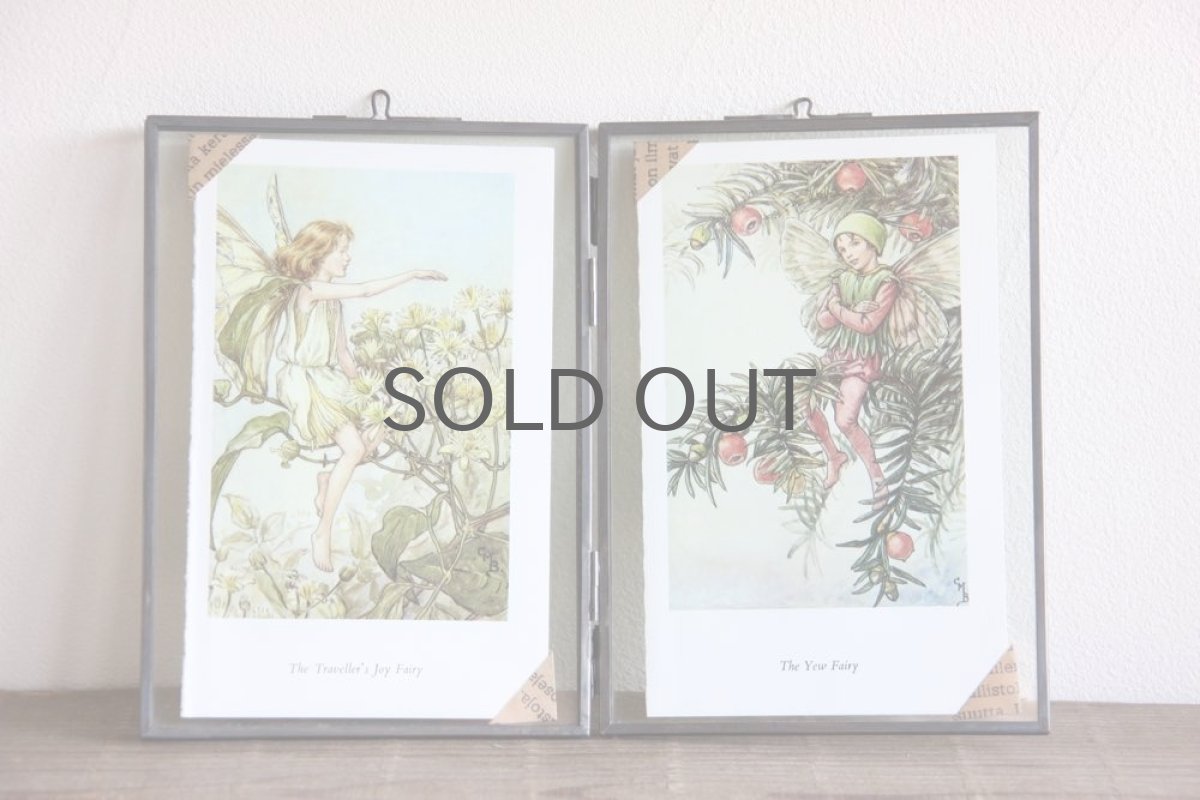 画像2: Fairy book／ スウェーデン古い花の妖精の挿絵 ／ガラスフレーム２図 No.1 (2)