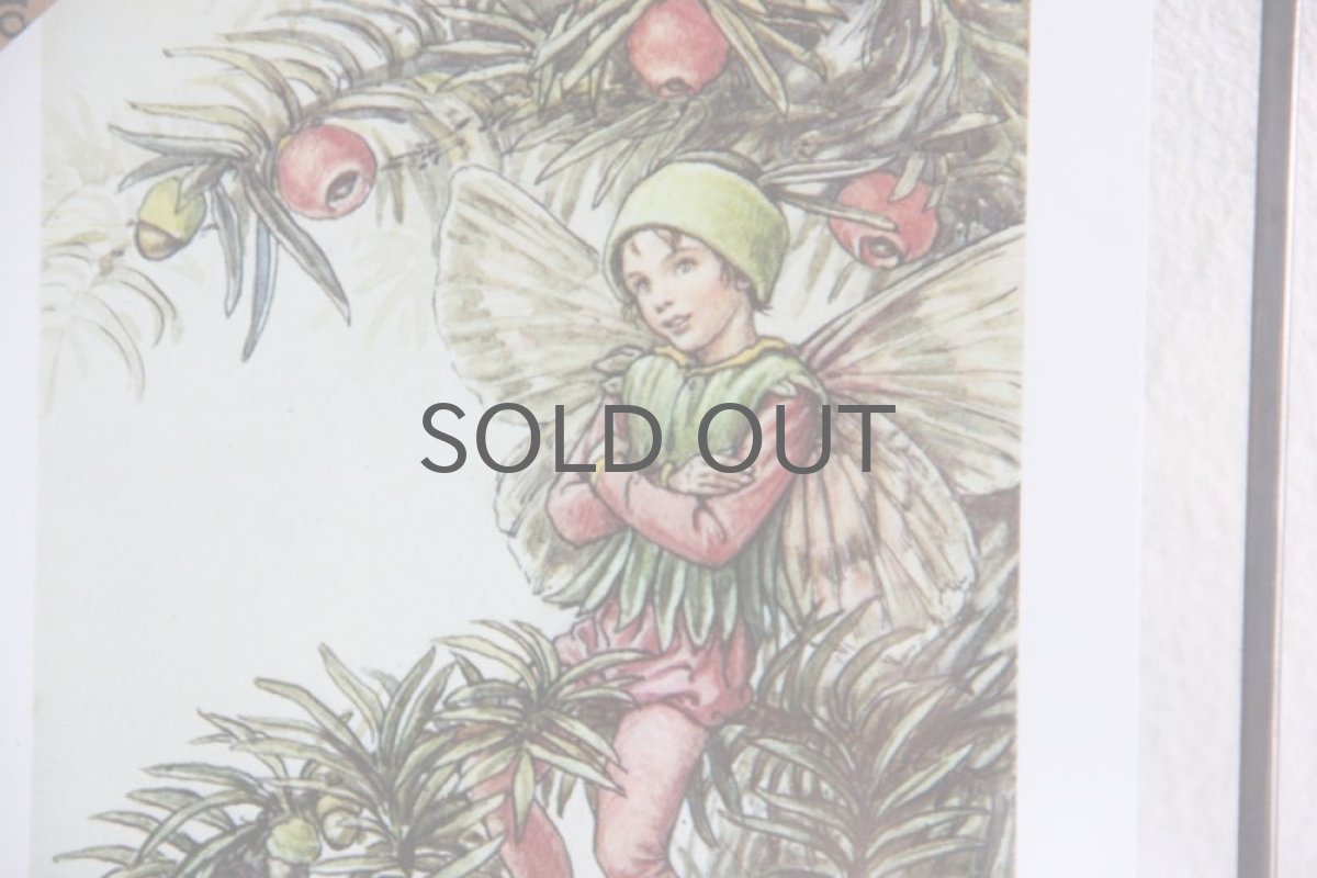 画像4: Fairy book／ スウェーデン古い花の妖精の挿絵 ／ガラスフレーム２図 No.1 (4)