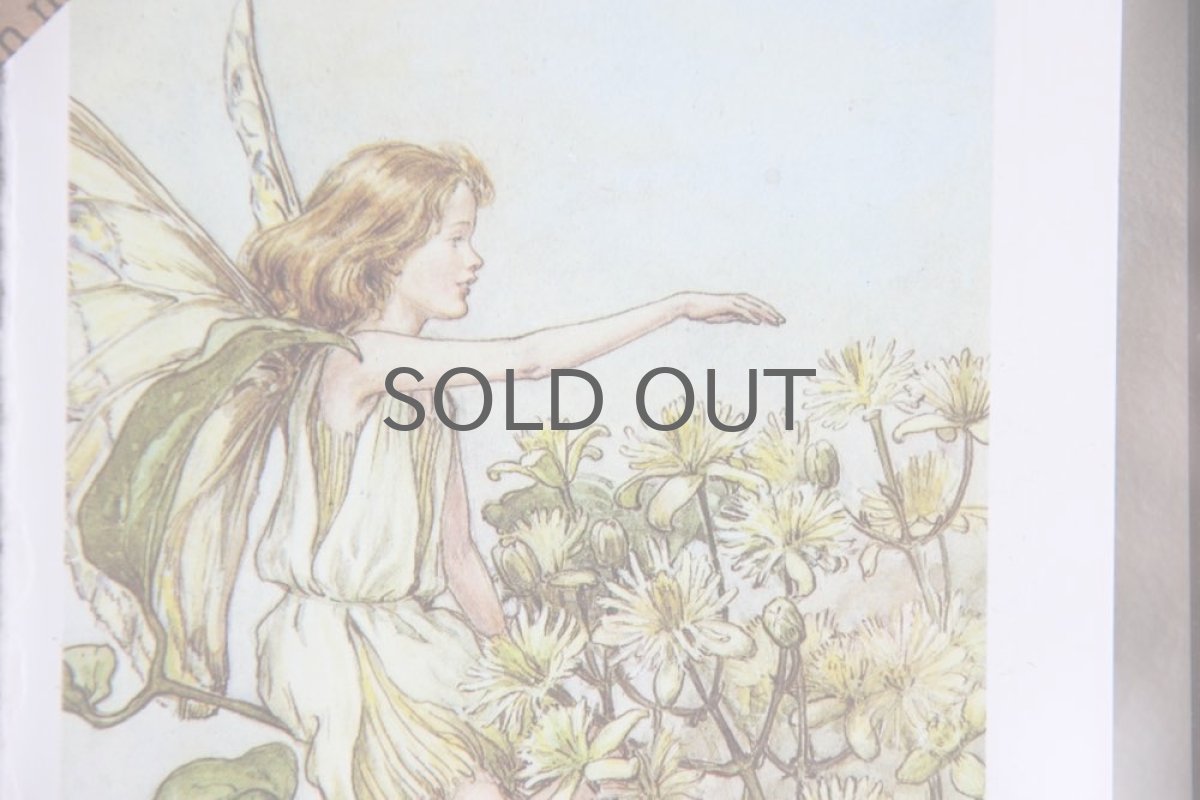画像3: Fairy book／ スウェーデン古い花の妖精の挿絵 ／ガラスフレーム２図 No.1 (3)