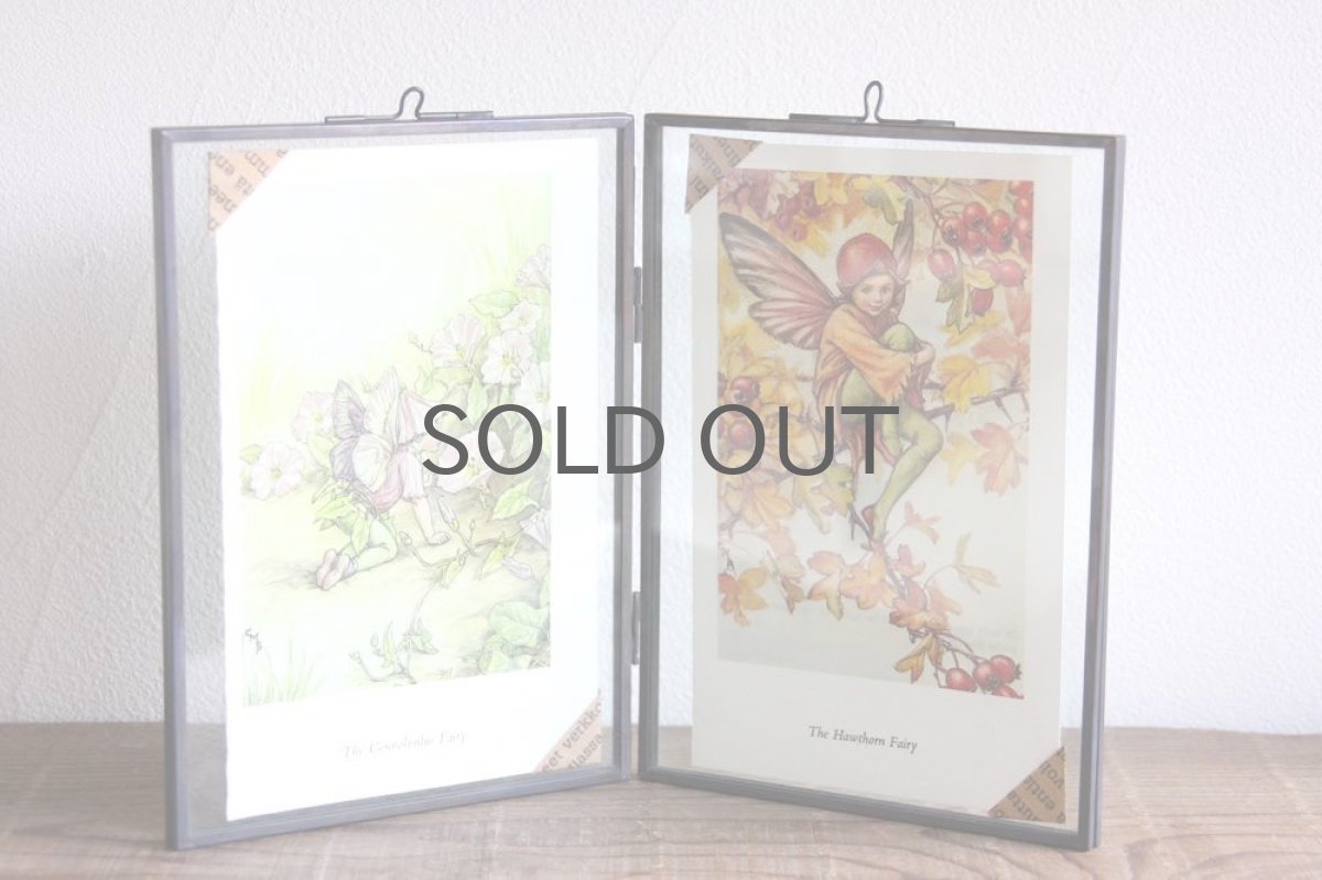 画像5: Fairy book/ スウェーデン古い花の妖精の挿絵 /ガラスフレーム2図 No.2 (5)