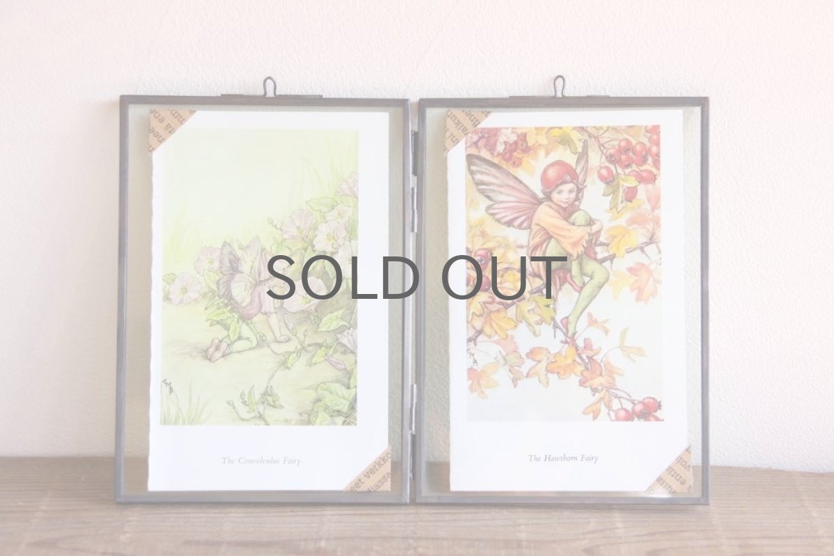 画像4: Fairy book/ スウェーデン古い花の妖精の挿絵 /ガラスフレーム2図 No.2 (4)