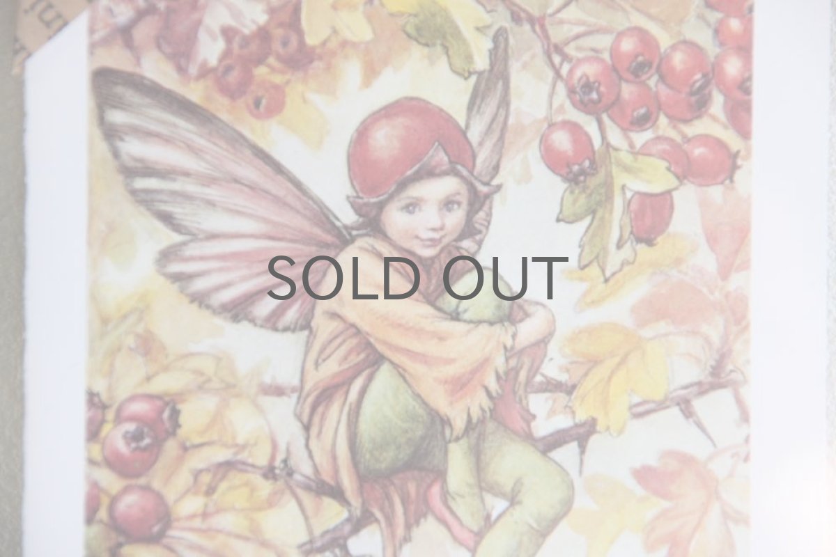 画像3: Fairy book/ スウェーデン古い花の妖精の挿絵 /ガラスフレーム2図 No.2 (3)