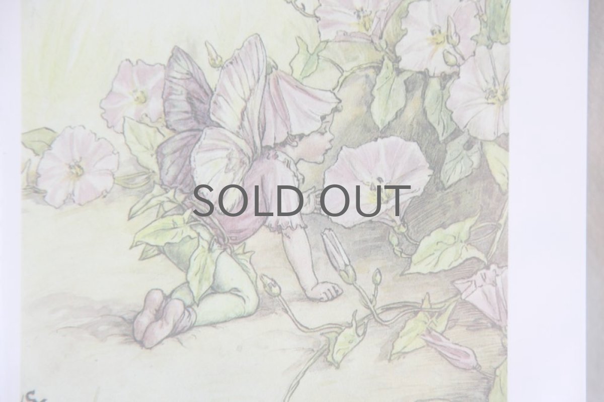 画像2: Fairy book/ スウェーデン古い花の妖精の挿絵 /ガラスフレーム2図 No.2 (2)