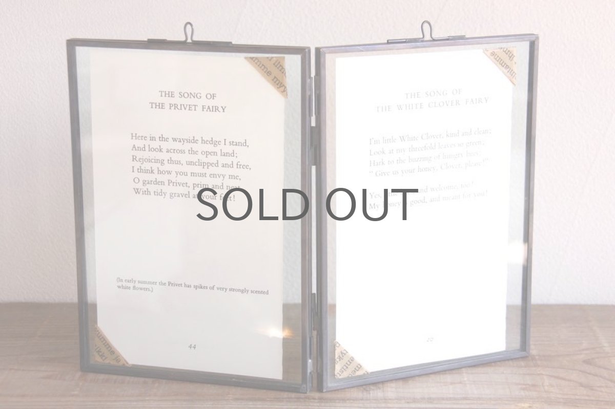 画像6: Fairy book/ スウェーデン古い花の妖精の挿絵 /ガラスフレーム2図 No.2 (6)