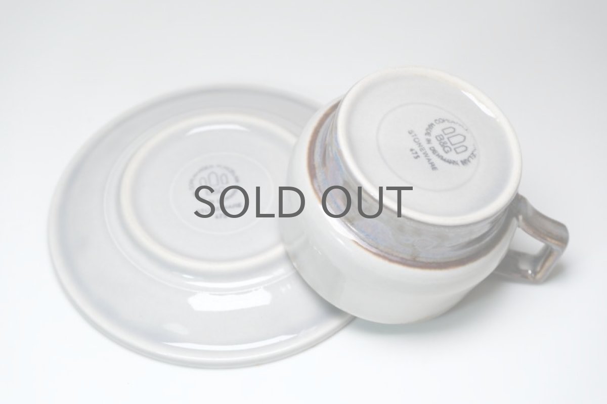 画像6: クィストゴー/Bing&Grondahl /Mexico/メキシコ/ティーカップ&ソーサー/No.2 (6)