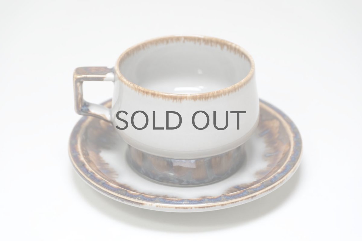 画像3: クィストゴー/Bing&Grondahl /Mexico/メキシコ/ティーカップ&ソーサー/No.1 (3)