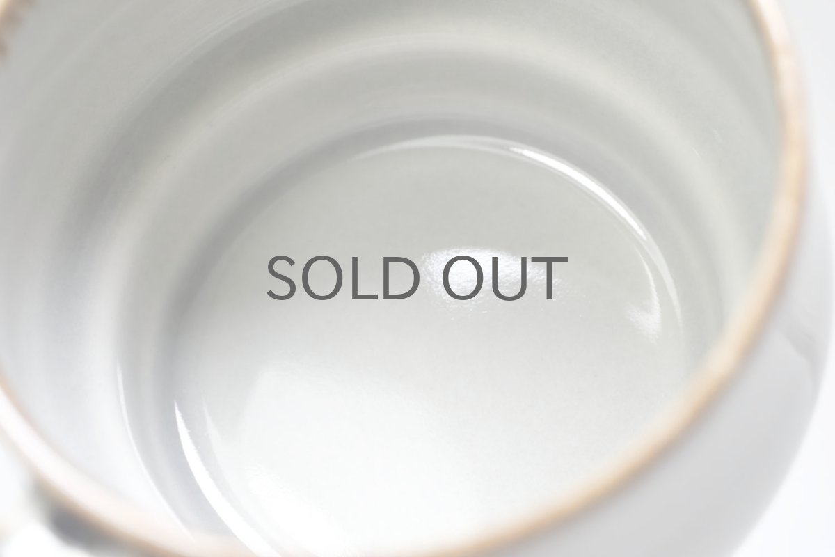 画像7: クィストゴー/Bing&Grondahl /Mexico/メキシコ/ティーカップ&ソーサー/No.1 (7)