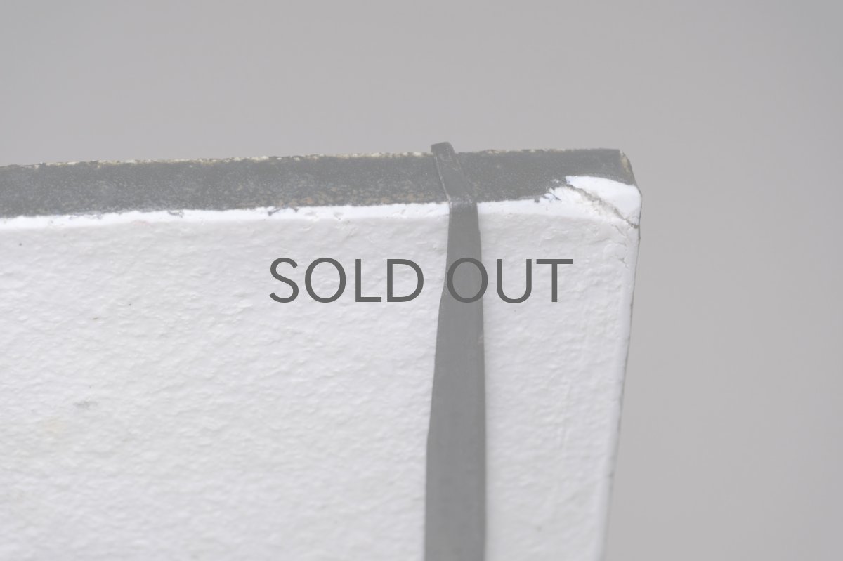 画像7: Rorstrand/ロールストランド/Sylvia Leuchovius/花火と小鳥 (7)