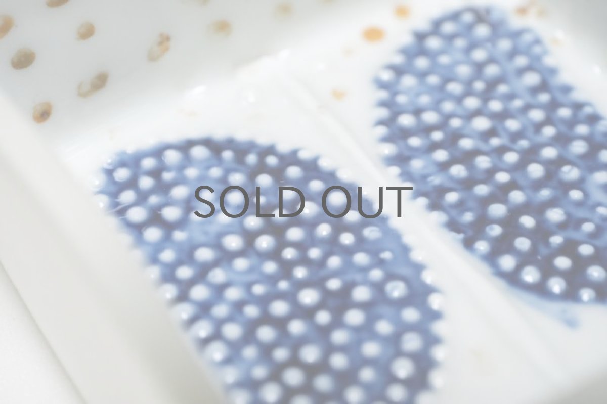 画像3: Rorstrand/ロールストランド/Sylvia Leuchovius/シルヴィア・レウショヴィウス/絵皿/蝶/Sサイズ (3)