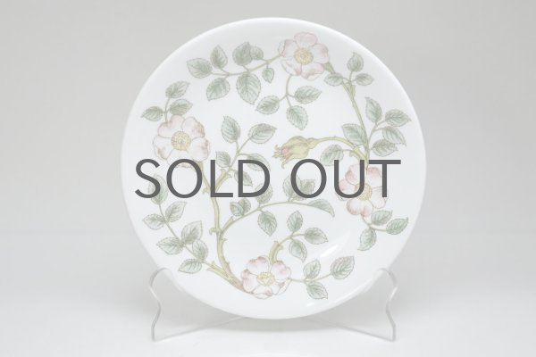 Rorstrand/ロールストランド/Nyponros/ニポンロス/17cm/プレート