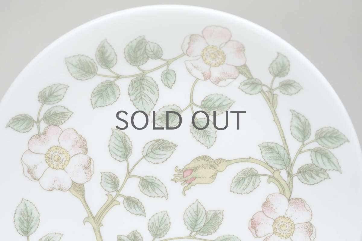 画像2: Rorstrand/ロールストランド/Nyponros/ニポンロス/17cm/プレート (2)