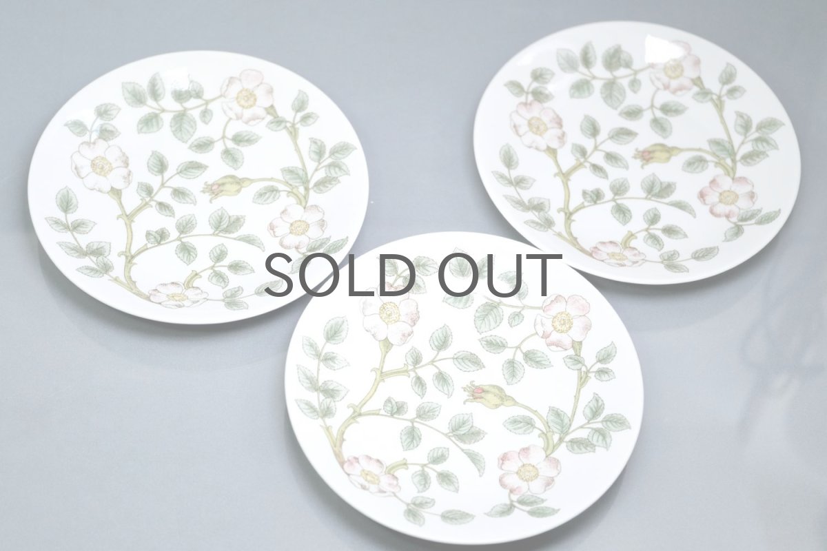 画像6: Rorstrand/ロールストランド/Nyponros/ニポンロス/17cm/プレート (6)