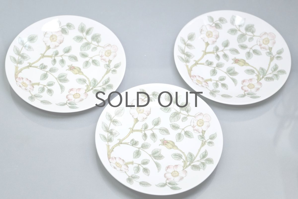 画像7: Rorstrand/ロールストランド/Nyponros/ニポンロス/17cm/プレート (7)