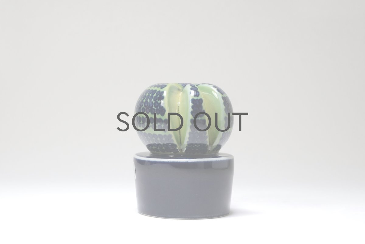 画像3: Rorstrand/ロールストランド/Marianne Westman/Kaktusar/カクタス/サボテン/MW220/No.1 (3)