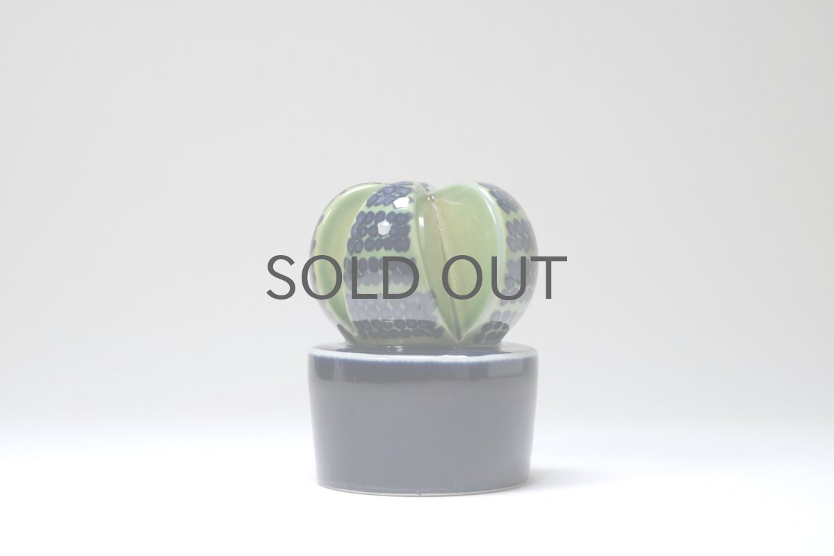 画像2: Rorstrand/ロールストランド/Marianne Westman/Kaktusar/カクタス/サボテン/MW220/No.1 (2)