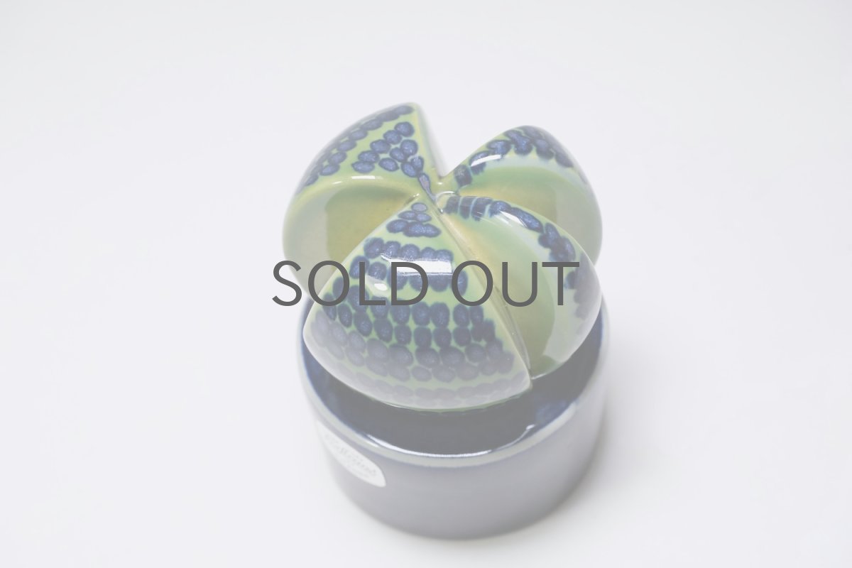 画像4: Rorstrand/ロールストランド/Marianne Westman/Kaktusar/カクタス/サボテン/MW220/No.1 (4)