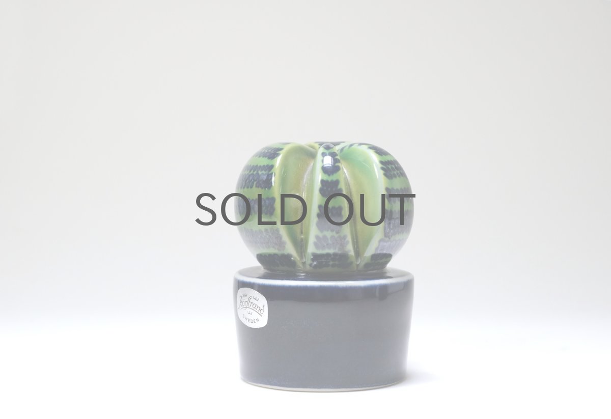 画像3: Rorstrand/ロールストランド/Mariamnne Westman/Kaktusar/カクタス/サボテン/MW220/No.2 (3)