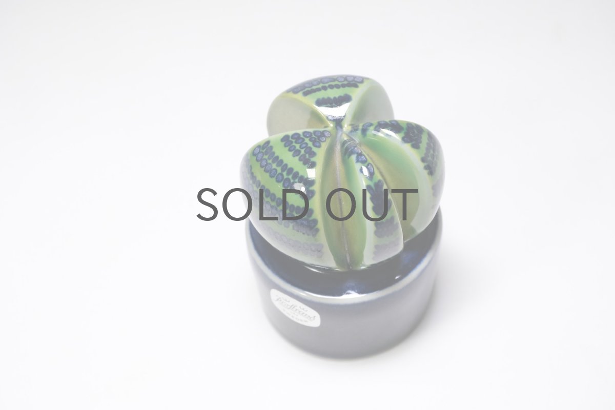 画像4: Rorstrand/ロールストランド/Mariamnne Westman/Kaktusar/カクタス/サボテン/MW220/No.2 (4)