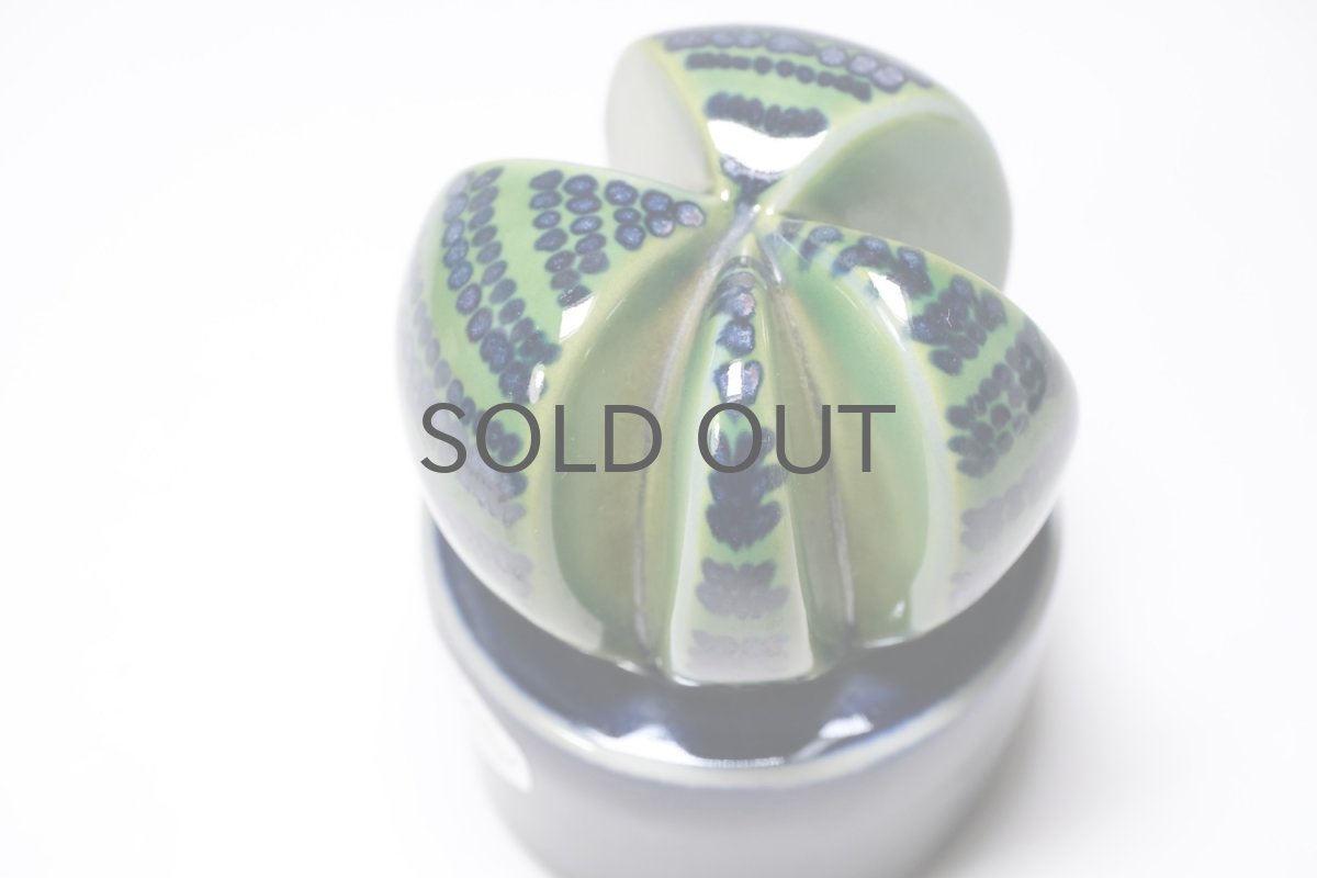 画像5: Rorstrand/ロールストランド/Mariamnne Westman/Kaktusar/カクタス/サボテン/MW220/No.2 (5)