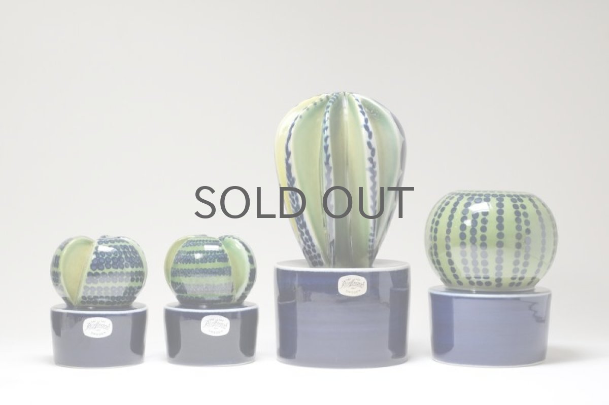 画像9: Rorstrand/ロールストランド/Mariamnne Westman/Kaktusar/カクタス/サボテン/MW222 (9)